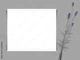 preview original