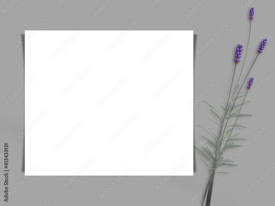 image to crop