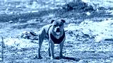 preview cold