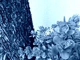 preview cold