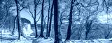 preview cold