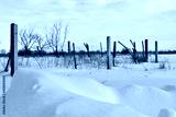 preview cold