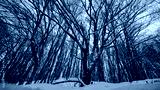preview cold