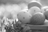 preview bw