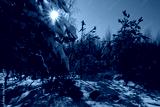 preview cold