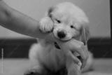 preview bw