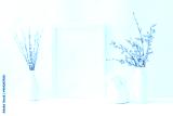 preview cold