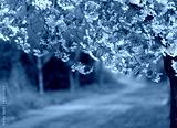 preview cold