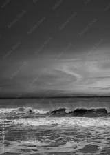 preview bw
