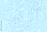 preview cold