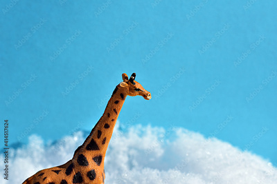 image to crop