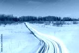 preview cold