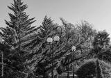 preview bw