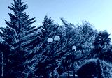 preview cold