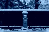 preview cold