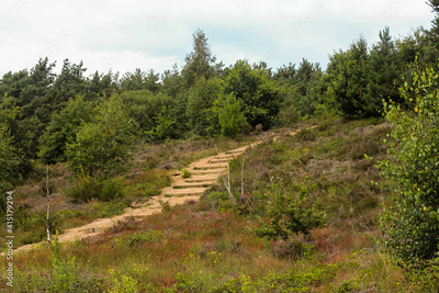 image to crop