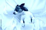 preview cold