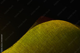 preview original