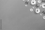 preview bw