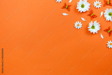preview original