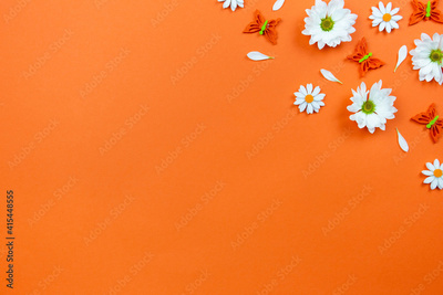 image to crop