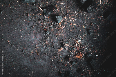 image to crop
