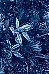 preview cold
