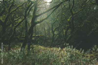 image to crop