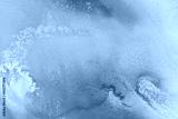 preview cold