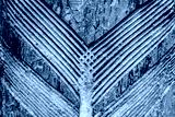 preview cold