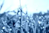 preview cold