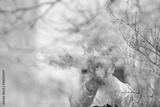 preview bw
