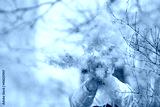 preview cold