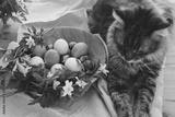preview bw