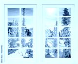 preview cold