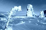 preview cold