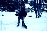 preview cold