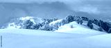 preview cold