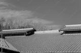 preview bw