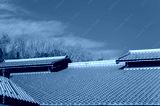preview cold