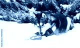 preview cold
