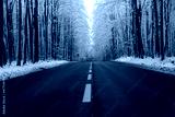 preview cold