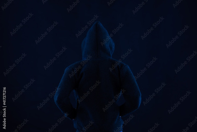image to crop
