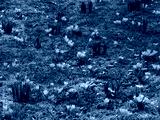 preview cold