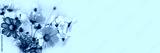 preview cold
