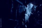 preview cold