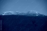 preview cold