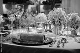 preview bw