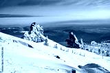 preview cold