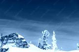preview cold
